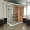 Steam Cum Sauna